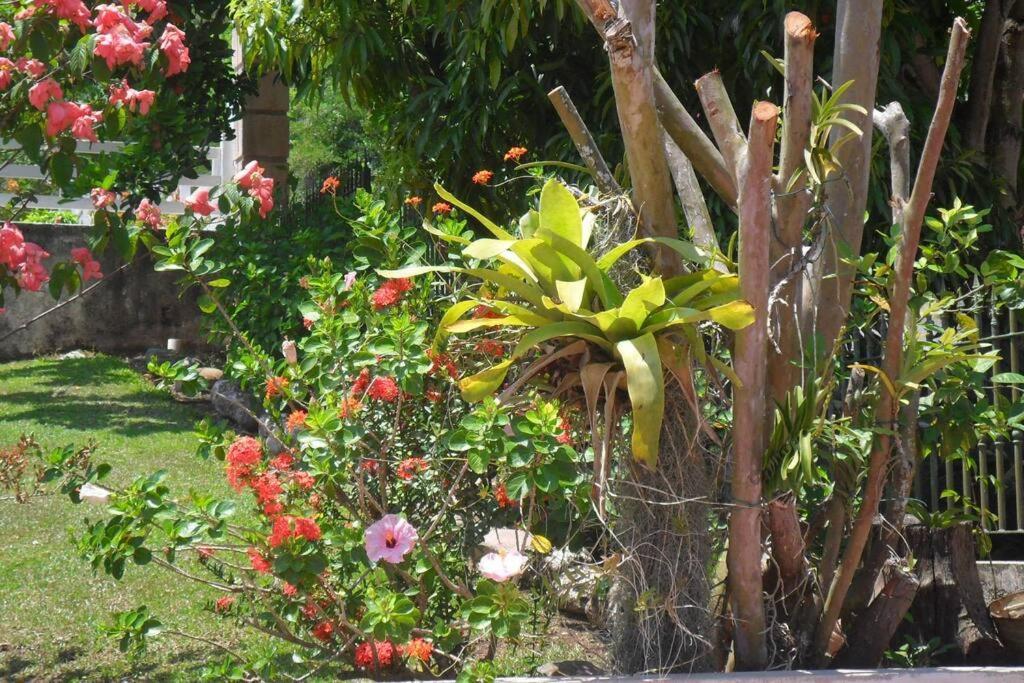 Ferienwohnung Idilio Escape Ocho Rios Exterior foto