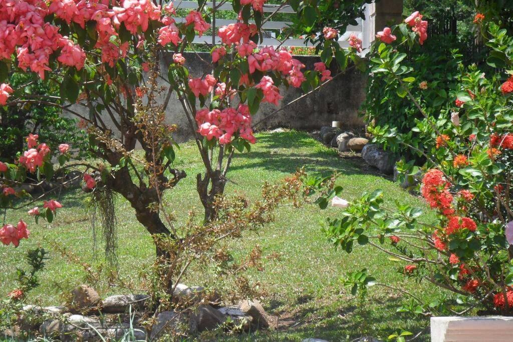 Ferienwohnung Idilio Escape Ocho Rios Exterior foto